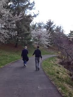 Walking Meditation Waverley