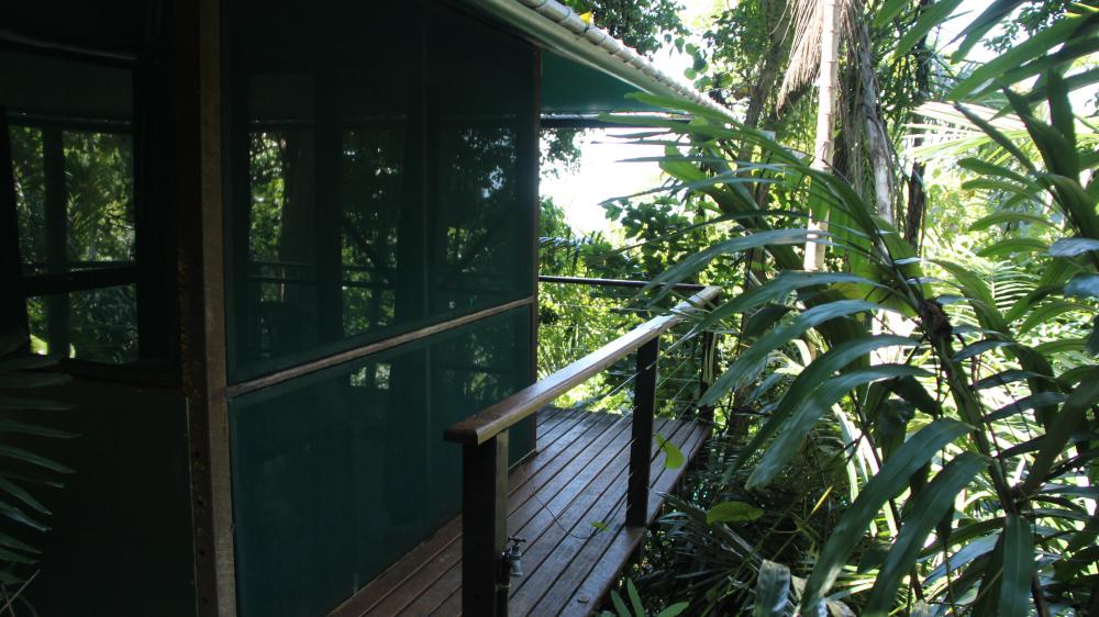 Sanctuary rainforest hut exterior view pretty hut with rainforest surrounding it.